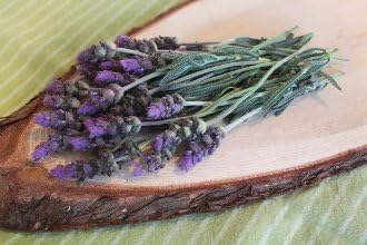Edible Flowers Lavender 50 Count
