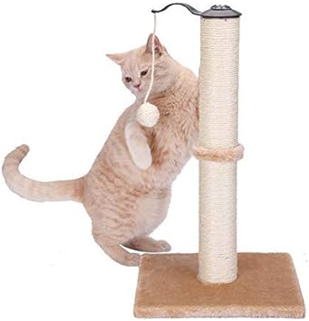 Amazon Pettom つめとぎ 猫 子猫 キャットポール 麻 爪みがきポール おもちゃ付き ストレス解消 ガリガリポール スクラッチャー ねこ 爪とぎ 50cmベージュ Pettom爪とぎ 爪とぎ 通販