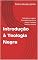 Livro Introdução à Teologia Negra: Definição e origens, Principais conceitos e temas, Contexto histórico e social
