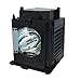 WOWSAI TV 915P049010 Replacement Lamp in Housing for Mitsubishi WD-57731, WD-57732, WD-65731, WD-65732 Televisions, Black primary