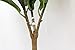 5 Foot Fiddle Leaf Fig Tree - Realistic Artificial Home Decor