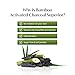 Aliceva Black Mask, Blackhead Remover Mask, Charcoal Peel Off Mask, Charcoal Mask, Charcoal Face Mask for All Skin Types with Brush – 2.12 FL.OZ / 60Gthumb 2