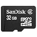 Sandisk Sdsdq-032g-A11m 32 Gb MicroSD High Capacity Mobile Memory Card 1 Piece Class 2