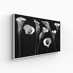 Canvas Wall Art for Living Room, Bedroom Monochrome Plants Framed Canvas Prints for Home Decoration Ready to Hang - 16x24 inches
