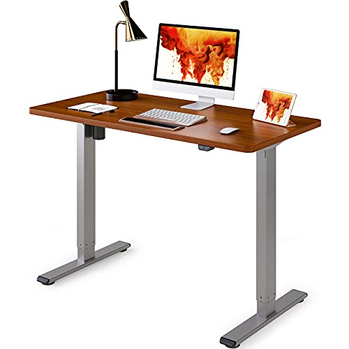 FLEXISPOT EC1 Standing Desk, 48 x 24 Inches Height Adjustable Desk