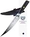 DALSTRONG Phantom Series - Japanese High-Carbon - AUS8 Steel - Sheath (6.5" Boning & Fillet) primary