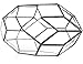 NCYP 6.5 x 5.9 x 11 Inches Geometric Glass Terrarium for Succulent, Air Plants - Large Irregular Clear Planter Pot, Indoor Tabletop Centerpiece, Wedding Garden Decor, Black (No Plants)