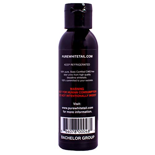 Pure Whitetail Bachelor Group Buck Urine - 4 oz, Fresh 100% Pure Mock Scrape Attractant and Calming Cover Scent from Multiple Bucks