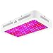 Dimgogo 1500W LED Grow Light Full Spectrum for Indoor Greenhouse Hydroponic Plants Veg and Flower, LED Plant Growing Light Fixtures with Daisy Chain Function (150Pcs 10W LEDs)
