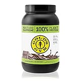Golds Gym Vegan Protein Powder, 100% Plant Based, Chocolate Fudge, 2lb (30 servings)