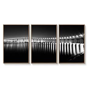 Floating Framed Canvas Wall Art for Living Room, Bedroom Black and White Landscape Canvas Prints for Home Decoration Ready to Hang - 16"x24"x3 Panels