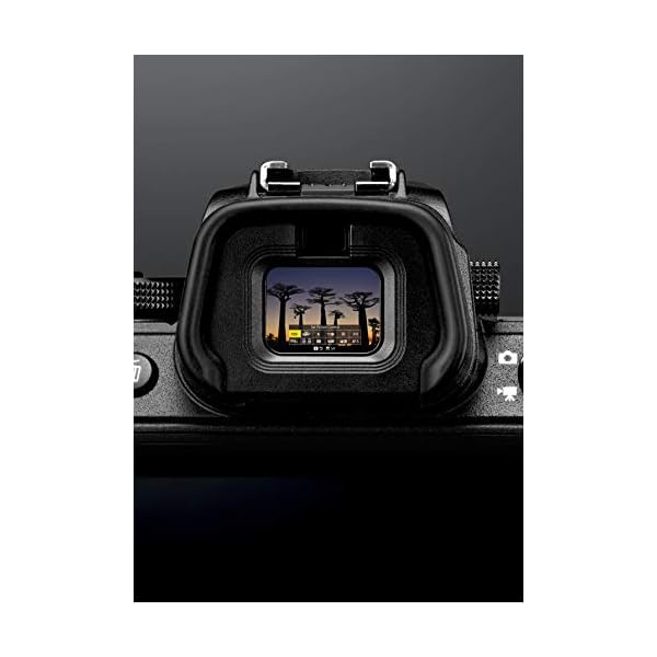 Nikon Z 6 Spiegellose Vollformat-Kamera mit Nikon 24-70 mm 1:4 S (24,5 MP, 12 Bilder pro Sek., 5 Achsen-Bildstabilisator, OLED-Sucher mit 3,69 Mill. Bildpunkten, AF mit 273 Messfeldern, 4K UHD Video) – Bild 7