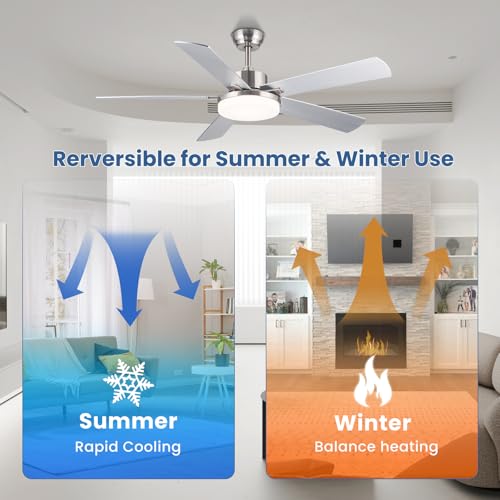 Newday 52" Ceiling Fan with Light and Silver Remote Control, Reversible 5 Ceiling Shovel with Dimmable Light, Large Silent Ceiling Fan for Living Room, Bedroom, Kitchen, Terrace