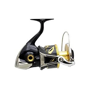 Shimano Stella Sw C Moulinets De Pêche En Eau Salée