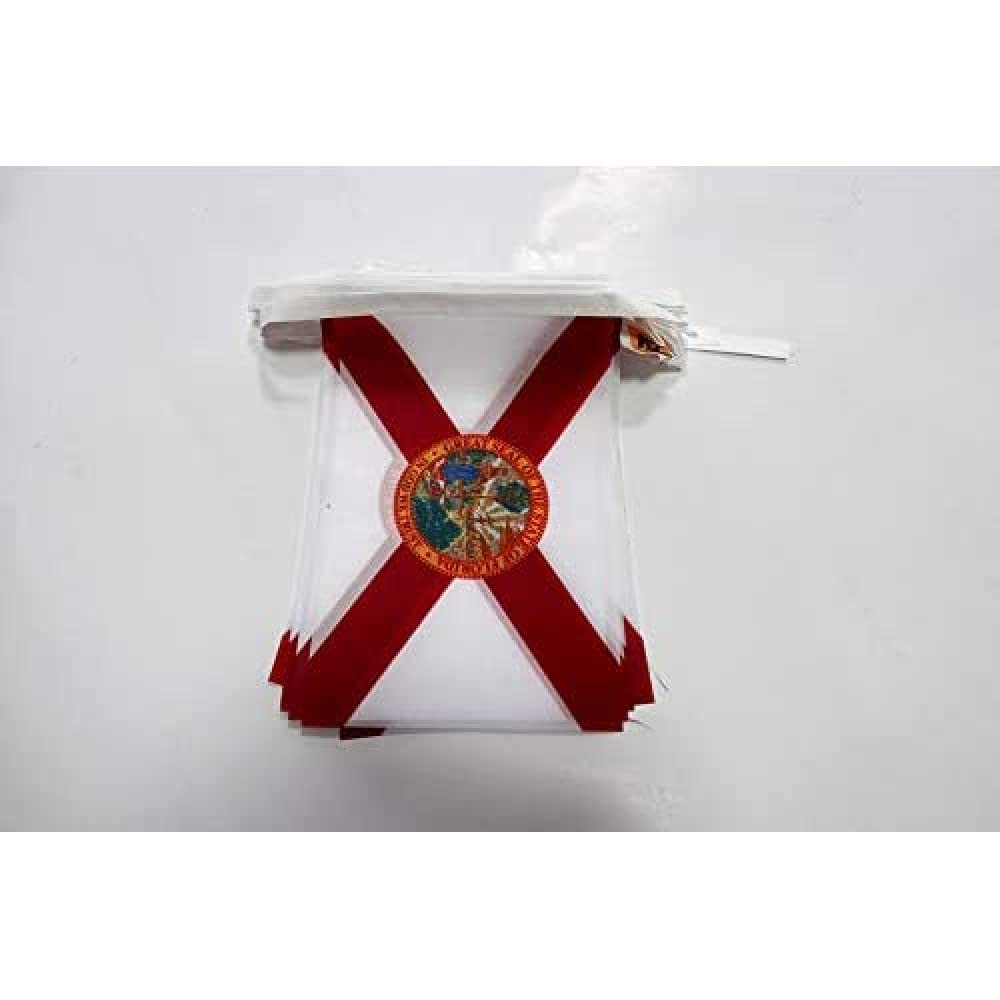 AZ FLAG Florida Bunting Flag, 20 Ft Garland 20 Small US state of Florida Flags 8'' x 6'', 100% Polyester String Pennant, 6 meters