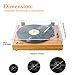 VMO Retro Record Player for 33/45/78 RPM Vinyl Records,Bluetooth Belt-Drive Turntable with Built-in Hi-Fi Stereo Speakers,Yellowthumb 1