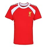 Official Football Merchandise Kids Liverpool FC Short Sleeve T-Shirt (2/3 Years) (Red)