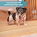 Duyoku Non-Slip Stair Treads Tape Transparent Type - 4