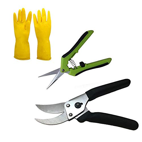 HuaBoYi Pruning Shears Stainless Steel Locking Mechanism Hand Pruners Bypass Garden Clippers for Plant Stems Blades