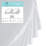 Bright IDEA Heat Transfer Vinyl HTV Bundle - 10 Pack of Premium White HTV Sheets - Iron On T-Shirt Vinyl Transfer Sheets - Best HTV Vinyl for Silhouette Cameo, Cricut, Heat Press