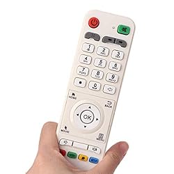 Baiko White Remote Control, Controller Replacement