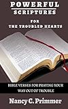 Powerful Scriptures For The Troubled Hearts: Bible