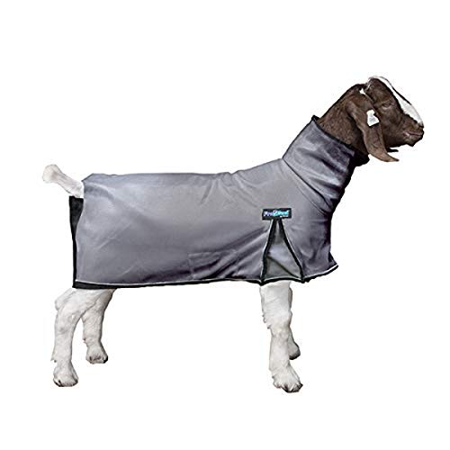 ProCool™ Goat Blanket with Reflective Piping, Extra Small, Gray
