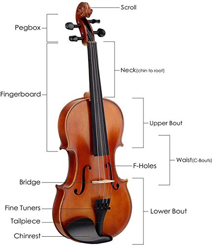 Mugig Violin, Solidwood Ebony Fitted with Hard Case, with Violin Bow, Rosin and Extra Strings, Suitable for Beginners and Students (4/4, Full-size)