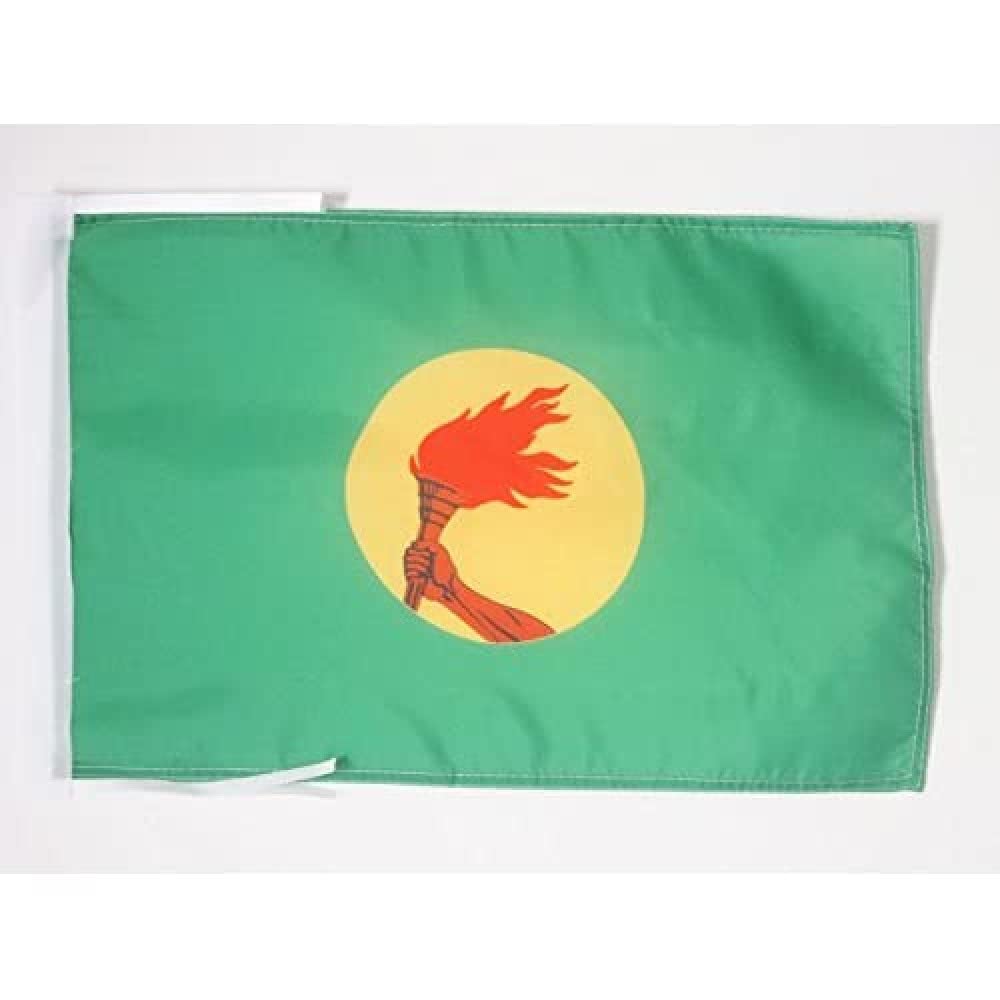 AZ FLAG - Zaire Flag - 18'' x 12'' - 100% Polyester Congolese Small Banner with Two Cords - Fade Resistant - Vivid Colors - 18x12 in - 45x30 Cm — image 1