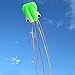 Hengda Kite-Pack 2 Colors Beautiful Large Easy Flyer Kite for Kids-Software Octopus-It's Big! 31 Inches Wide with Long Tail 157 Inches Long-Perfect for Beach or Park by Hengda kite