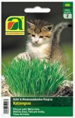 Cat Grass | Oats & Westerwoldish Raygras | This Pack is Enough for an Incredible 10 flowerpots with 10 cm Diameter