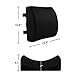 Lumbar Support Pillow - 100% Memory Foam Back with Breathable and Washable 3D Mesh Cover,Ideal Back Pillow for Car Seat, Computer/Office Chair â€¦ (Black)