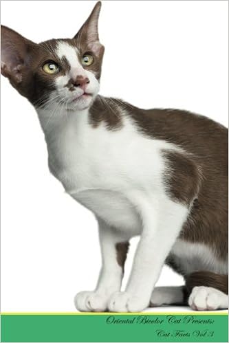 Oriental Bicolor Cat Presents Cat Facts Workbook Oriental