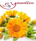 CALENDULA OIL 100% NATURAL PURE UNDILUTED UNCUT CARRIER OIL