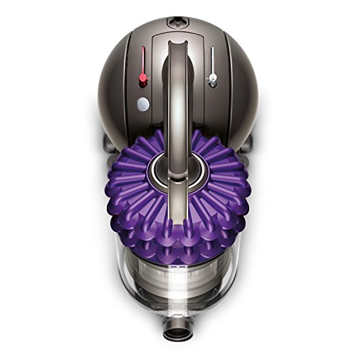 Dyson CY18 Animal Canister Vacuum, Purple/Iron (Certified