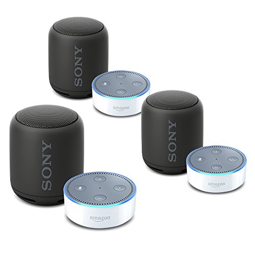 echo multi room audio bluetooth