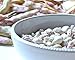 Cranberry Beans, 5 Pounds - Kosher, Borlotti
