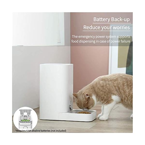 petkit automatic cat feeder