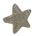 EleCharm 1 Pair Star Curtain Clips Tiebacks Magnetic Curtain Buckle holdbacks Curtain Tie Accessories (Star-Silver)