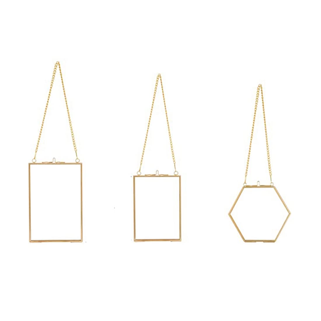 Lrtzizy 3 Packs Pressed Flowers Glass Frames- Golden Hanging Glass Picture Frames with Chain Floating DIY Artwork Display Frames