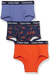 Calvin Klein Boys' Modern Cotton Assorted Briefs