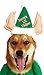 Rubie's Christmas Collection Santa's Little Helper Elf Pet Costume, X-Large