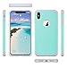 ULAK Slim Protective Case for iPhone Xs Max, Hybrid Soft Silicone Rubber Hard Back Cover Anti Scratch Bumper Case for Apple iPhone Xs Max 6.5 inch 2018 (Mint Green)