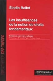 Les  insuffisances de la notion de droits fondamentaux