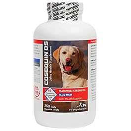 Cosequin Maximum Strength Joint Supplement Plus MSM – With Glucosamine and Chondroitin – For Dogs of All Sizes