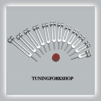 12 Pc Song Of The Spine Tuning fork for Healing with Activator,Pouch& Free Shipping