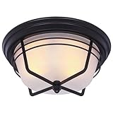 Westinghouse 6230300 Bonneville Two-Light Exterior Flush-Mount Fixture, Weathered Bronze Finish on Steel with Frosted Glass (Tools & Home Improvement)