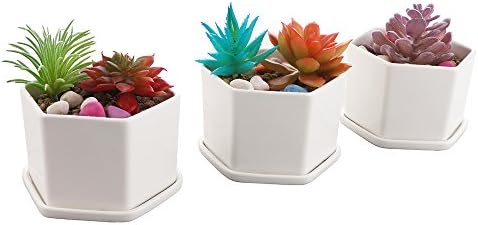 Cactus Ceramic Pots for Plants Succulent Pots White Six-Sided Succulent Flower Pot-Pack of 3