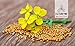 Naturevibe Botanicals Organic Yellow Mustard Seeds, 16 oz, Package May Vary