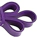 Viking Strong Pull Pull Up Assist Bands - Resistance Bands - Mobility Band - Powerlifting Bands - Jump Stretch Bands, Purple 40-80lbs Single Band